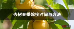 【树】杏树春季嫁接时间与方法