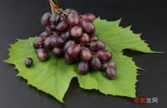 【保鲜】葡萄的储藏保鲜技术