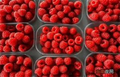 【树莓】树莓种植的注意事项