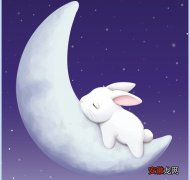 小白兔的睡前故事 关于小白兔的故事