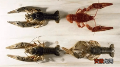 东北土生土长的“小龙虾”，20年前很常见，如今卖到上百元一斤