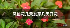 【开花】凤仙花几天发芽几天开花