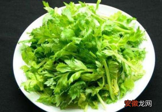 芹菜叶的食用方法有什么 芹菜叶子简单做法大全