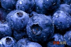蓝莓中哪些成分对视力和免疫力好