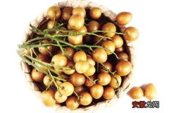 【种植】黄皮果怎么种 黄皮果种植技术与注意事项