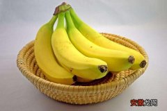 【防治】香蕉枯萎病的症状及防治方法 香蕉的栽培技术