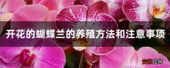 【蝴蝶兰】开花的蝴蝶兰的养殖方法和注意事项
