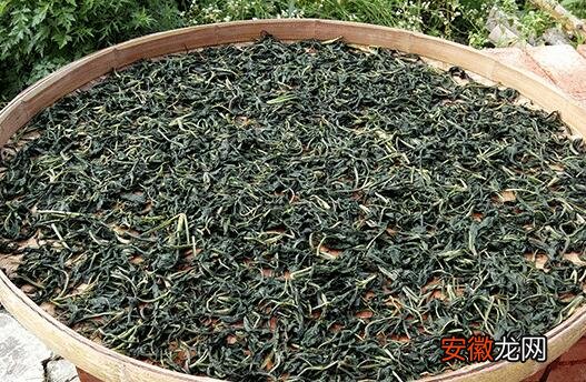 苦麻菜晾干泡茶的作用与功效