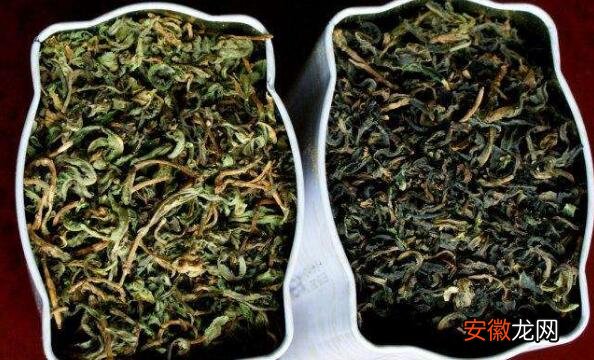 苦麻菜晾干泡茶的作用与功效