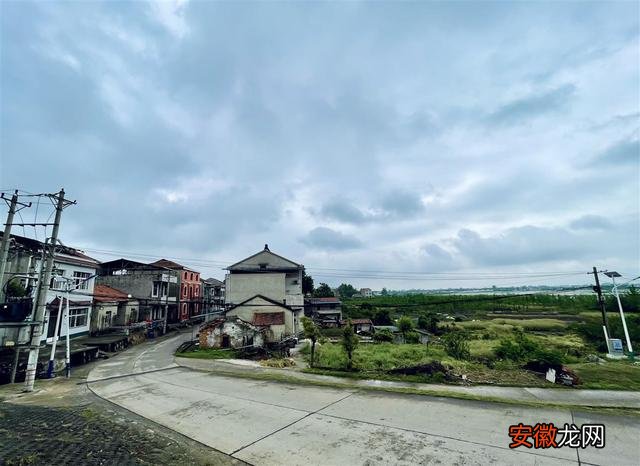 中冶南方规划助力江夏长江村定位“湖北蔬菜主题旅游第一村”